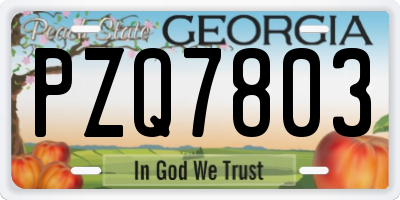 GA license plate PZQ7803