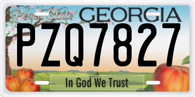 GA license plate PZQ7827