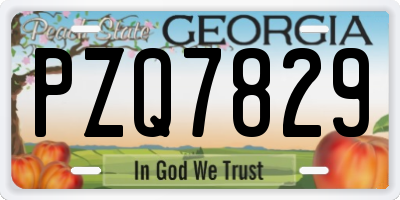 GA license plate PZQ7829