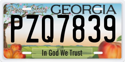 GA license plate PZQ7839