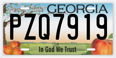 GA license plate PZQ7919