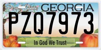 GA license plate PZQ7973
