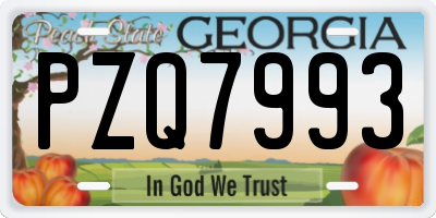 GA license plate PZQ7993