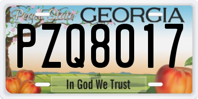 GA license plate PZQ8017