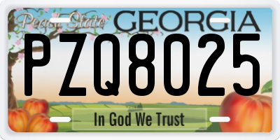 GA license plate PZQ8025