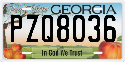 GA license plate PZQ8036