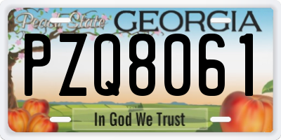GA license plate PZQ8061