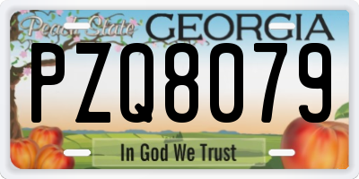 GA license plate PZQ8079