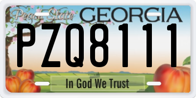 GA license plate PZQ8111