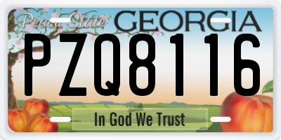 GA license plate PZQ8116