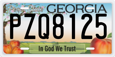 GA license plate PZQ8125
