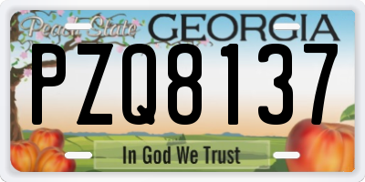 GA license plate PZQ8137