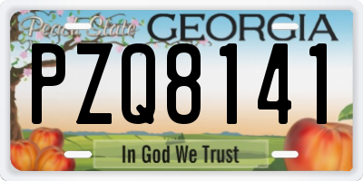 GA license plate PZQ8141