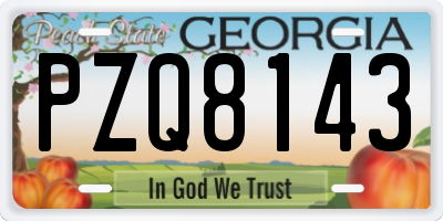 GA license plate PZQ8143