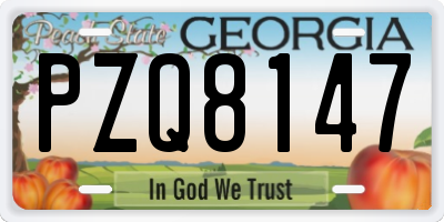 GA license plate PZQ8147