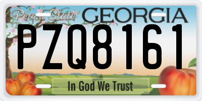 GA license plate PZQ8161