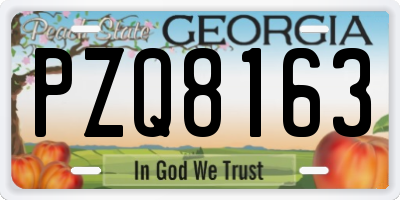 GA license plate PZQ8163