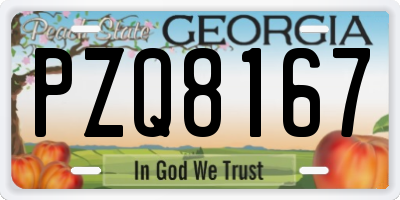 GA license plate PZQ8167