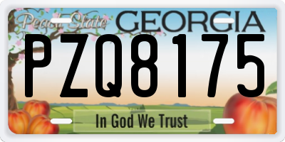 GA license plate PZQ8175