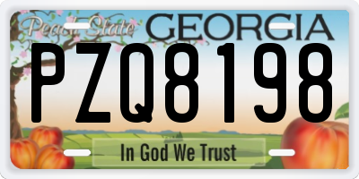 GA license plate PZQ8198
