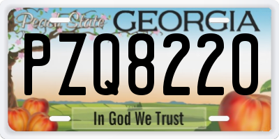 GA license plate PZQ8220