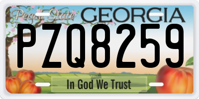 GA license plate PZQ8259