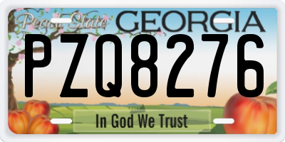 GA license plate PZQ8276
