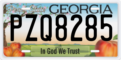 GA license plate PZQ8285