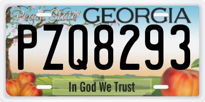GA license plate PZQ8293