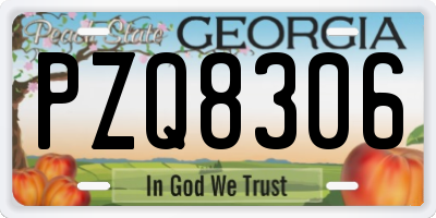 GA license plate PZQ8306