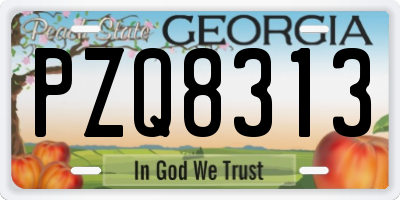 GA license plate PZQ8313