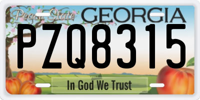 GA license plate PZQ8315