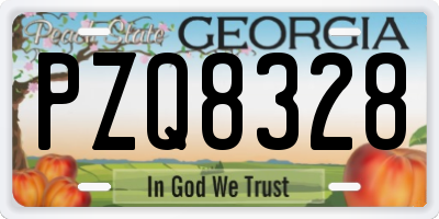 GA license plate PZQ8328