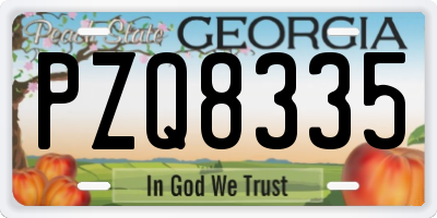 GA license plate PZQ8335