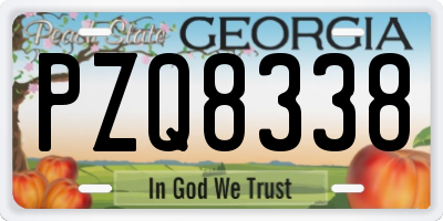 GA license plate PZQ8338