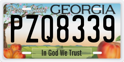 GA license plate PZQ8339