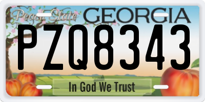 GA license plate PZQ8343