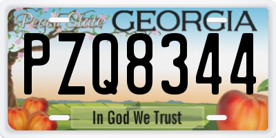 GA license plate PZQ8344