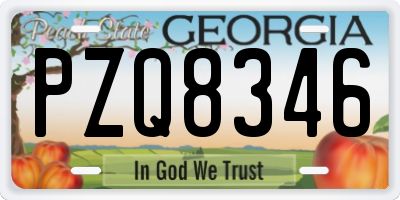 GA license plate PZQ8346