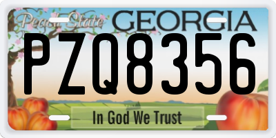 GA license plate PZQ8356