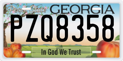 GA license plate PZQ8358