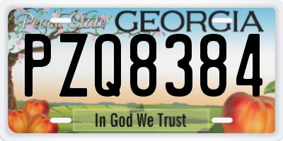 GA license plate PZQ8384