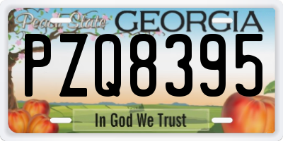 GA license plate PZQ8395