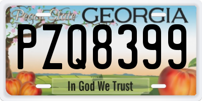 GA license plate PZQ8399