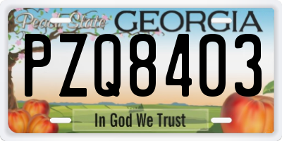 GA license plate PZQ8403