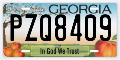 GA license plate PZQ8409