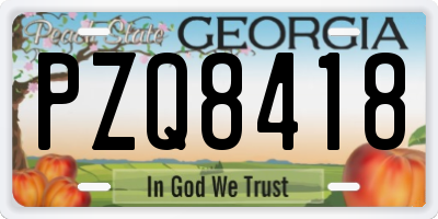 GA license plate PZQ8418