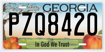 GA license plate PZQ8420