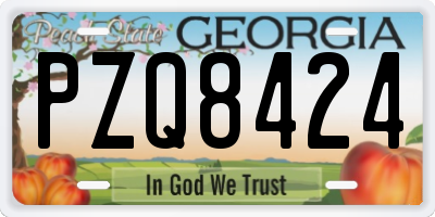GA license plate PZQ8424