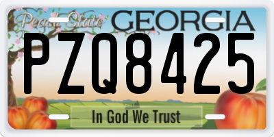 GA license plate PZQ8425